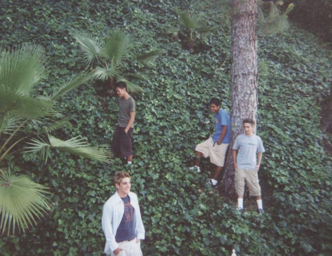 In the Garden
